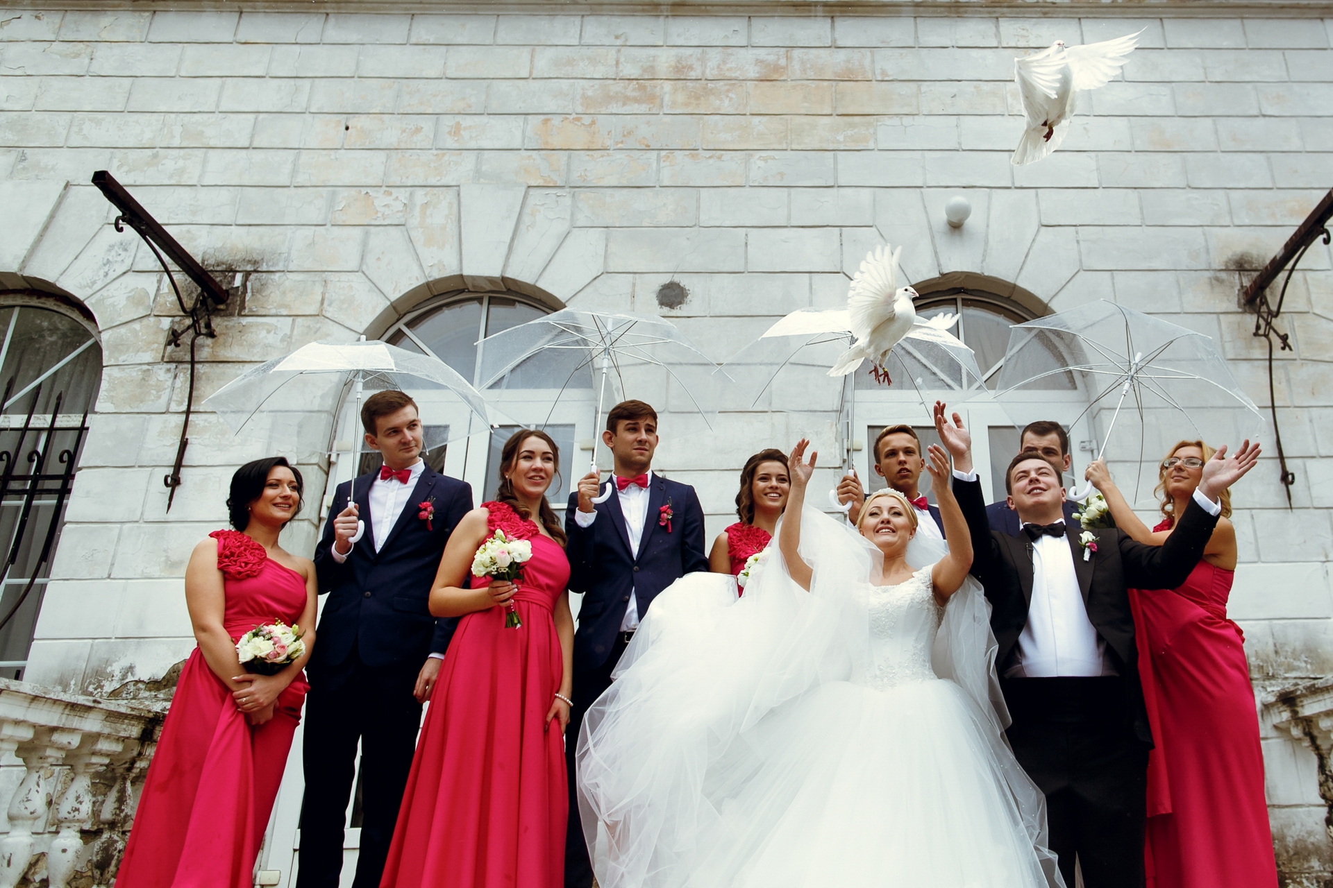 Wedding dove release